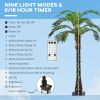 Outsunny 5' Artificial Lighted Palm Tree with 3 Coconuts, 200 LED Light, Color Changing Light Up Tropical Palm Tree with Remote for Indoor, Outdoor